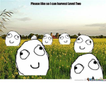 meme farm