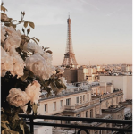 blossomshop