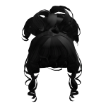 Curly Locks Updo in Black