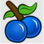 Blueberry Avenue