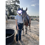 - Oak Tree Riding Club -