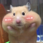 Potaticals