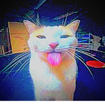 vdy2k