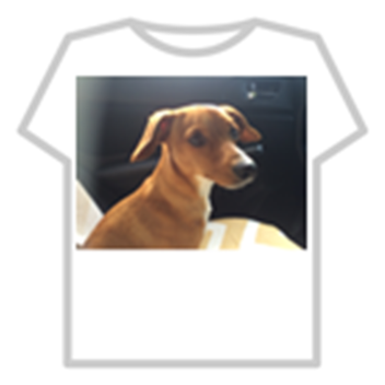 Fred's happy home🐶