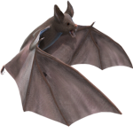 Bat Cave <3