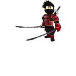 the darkage ninjas and assasins