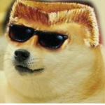 DogeWithIt