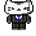 Cat. Co