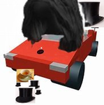 The Great Nation Car Hair