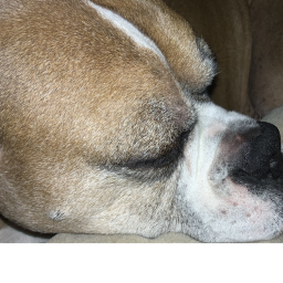 Buster is cute:D