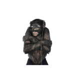 MUSTY MONKEY