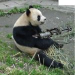 PANDA GUN