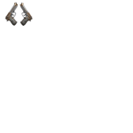 Dual Players fan group