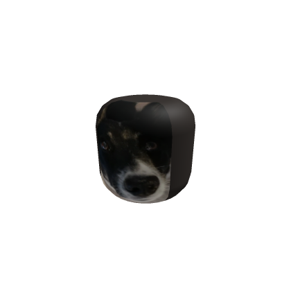 Pet