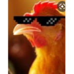 DE chicken buys