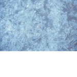 Frost Dynasty