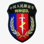 PSF特种部队