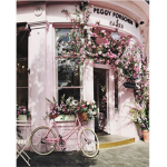 blush bakery
