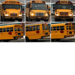 IC, Bluebird, Thomas build buses