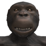 R3ƨet