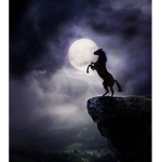 moonlight riders!