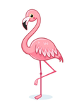 •Flamingo clothing!•