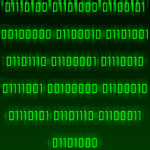 the binary bunch