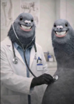 The El Sigeon Phonko's