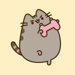 The_Pusheen_Group!