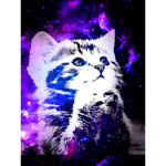 Cute galaxy kitty