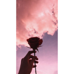 WE ARE BEAUTIFUL NO MATTER WHAT