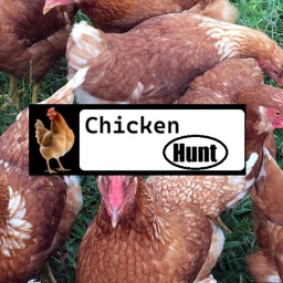 Chicken Hunt