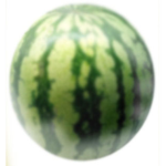 WATERMELGON