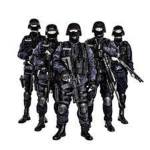 Swat Cows