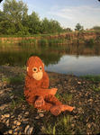Monkey Islands for you