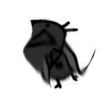 Distorted Bird