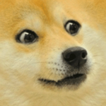 Cute Fluffy Puppies Fans Group