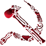 spade's charity