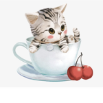 Kitty Cafe <3