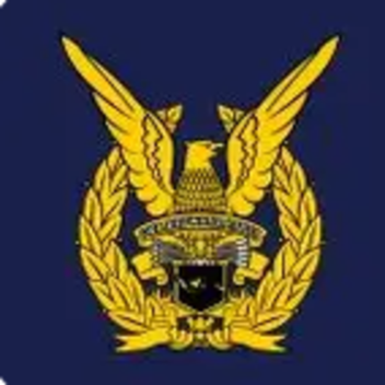[RIR] TNI Angkatan Udara