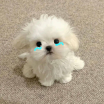 도아그룹