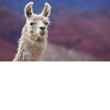 OLD ROBLOX GAME RUINS