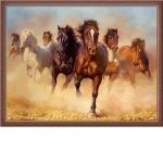 All Horse Breed Lovers!