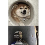 Creeper bosses