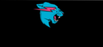 Mrbeast fan's