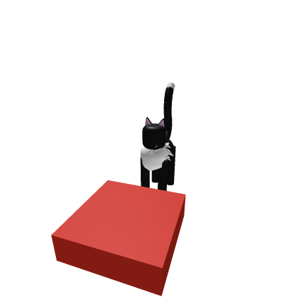 Black&amp;White Cat