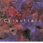 Celestiall