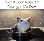 Da Bowl