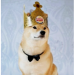 DOGE USA