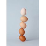 Egg.Army!
